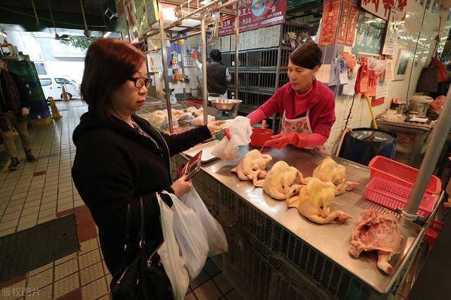 菜市场买鸡怎样分辨病死鸡教你简单4招知道后别被坑了