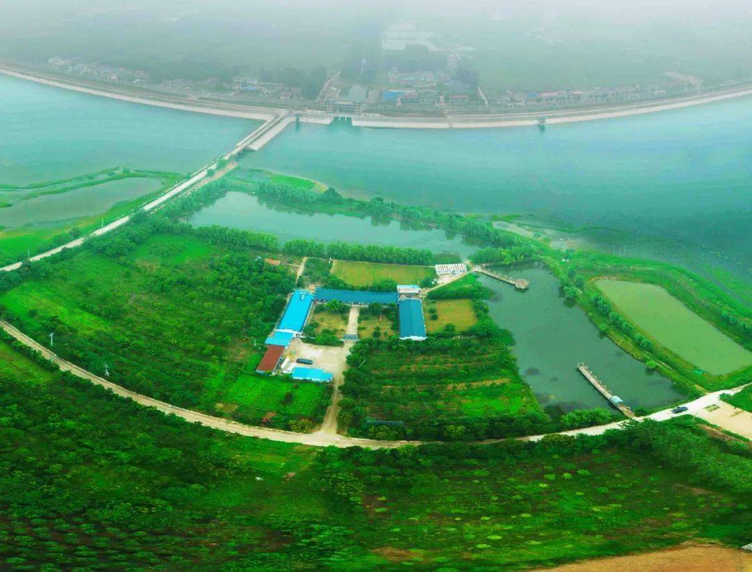 这个形似月牙的湖泊,是瓦东干渠长丰境内最后一座水库,位于杜集镇南部