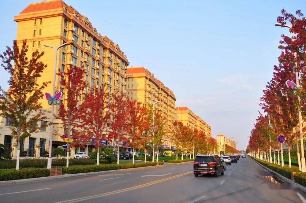 红了红了诸城新晋网红街是真的红了