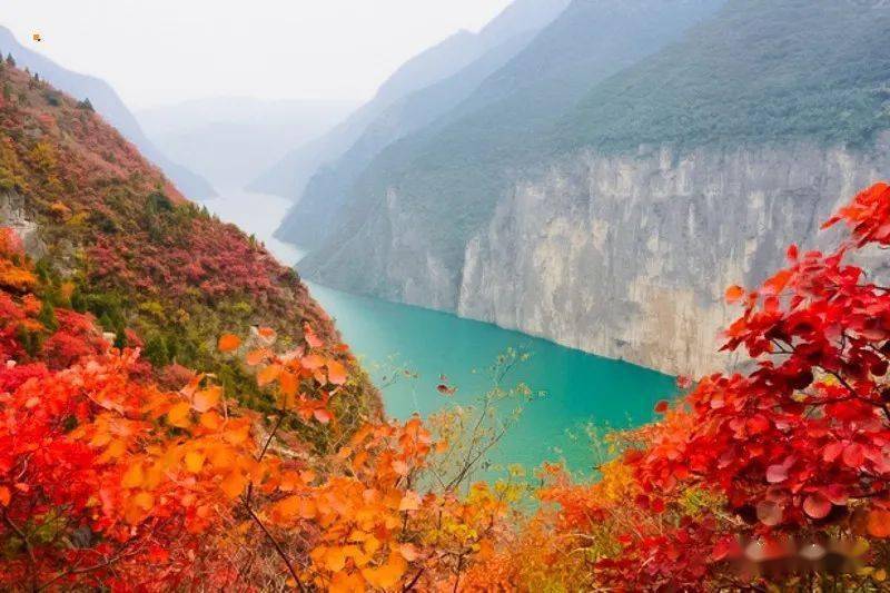 週五晚上出發長江三峽紅葉醉三峽の中國最紅的秋季美景之一兩天一晚