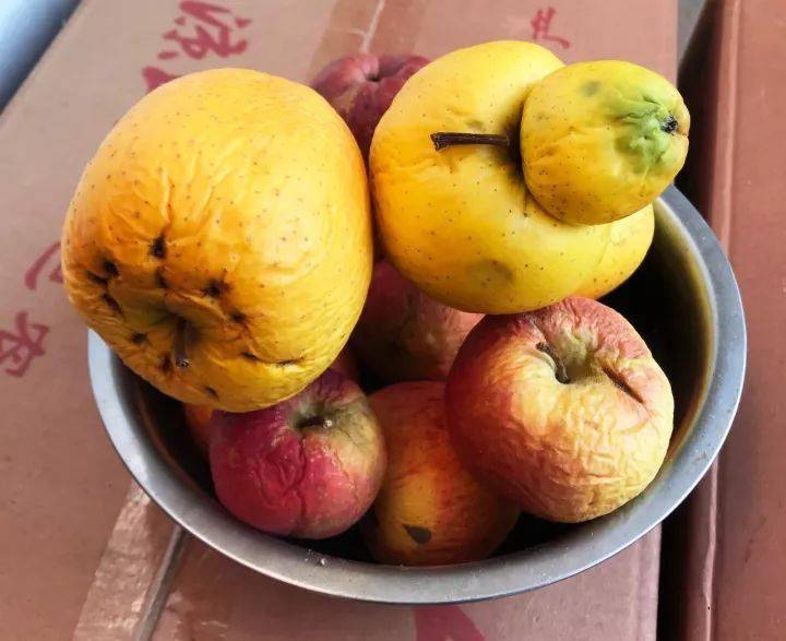 不用化肥农药他种的苹果放两年不烂震撼了世界