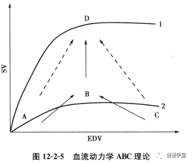 血流动力学基础图解值得一看