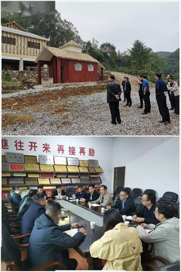 红花这一周丨10月12日-10月18日