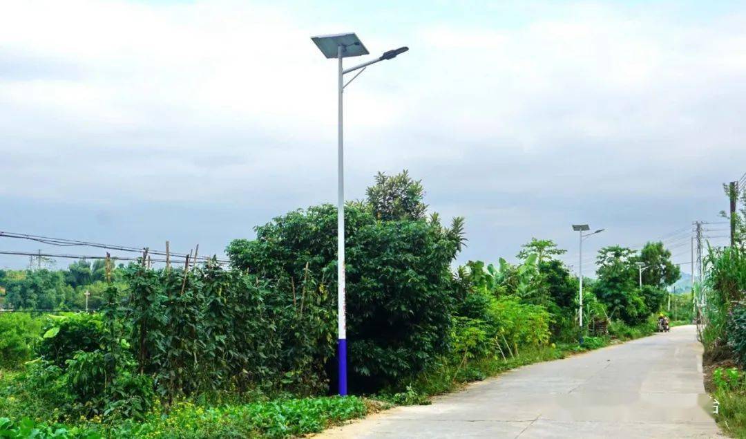 狮爱灯光 点亮乡村_路灯