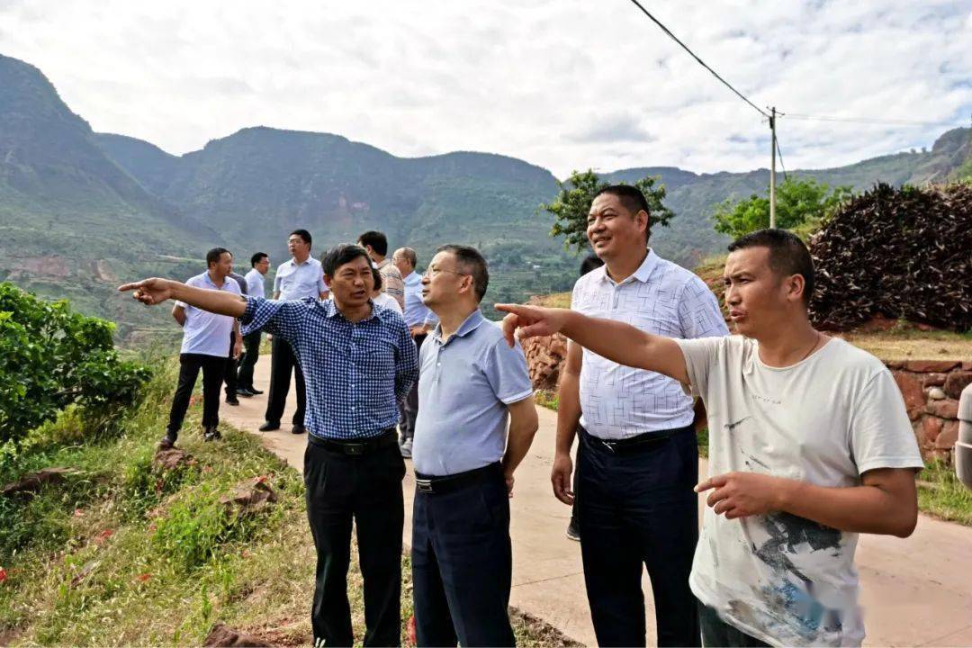 农村厅到会理调研金沙江干热河谷地区特色水果产业发展情况_会理县