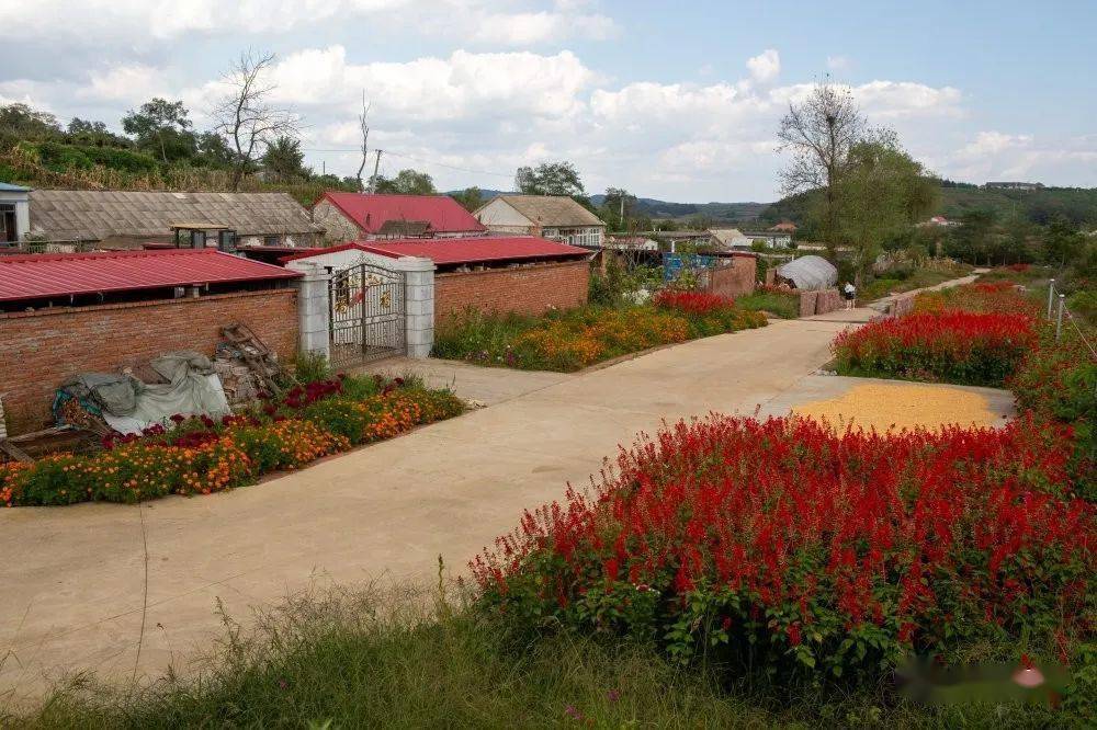 庄河市妇联"百村美丽,万家行动" 美丽庭院第二批典型展播——吴炉镇