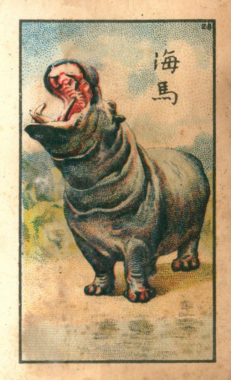 快来看看民国时期世界上的那些动物