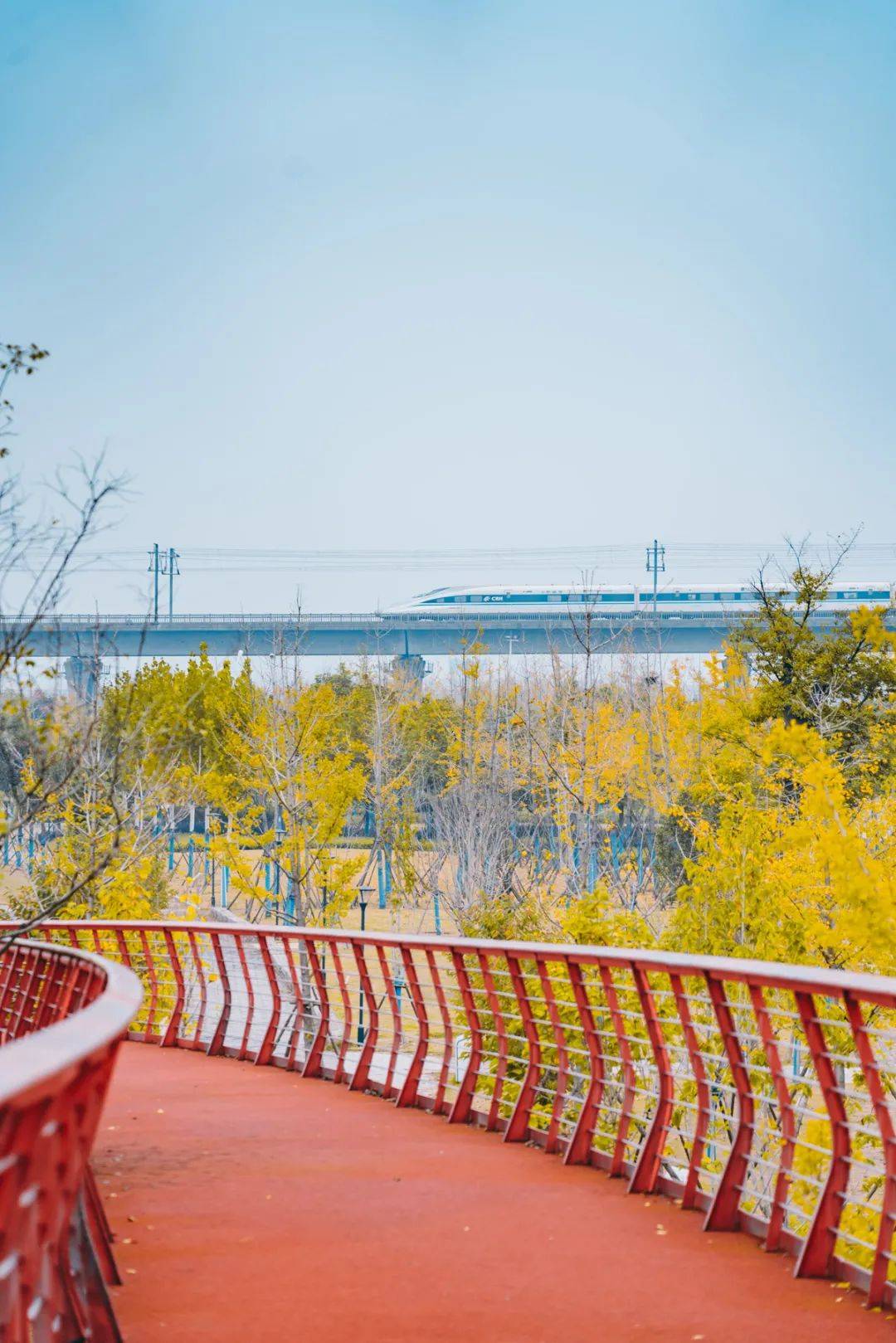 位于香虹艺术公园内的空港新城展示馆近几年建成的香虹艺术公园已