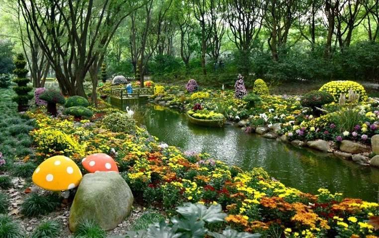 上海菊花展开幕倒计时历届水上花境大pk