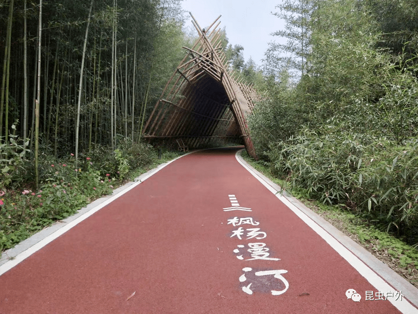 "双溪绿道在保护和恢复乡土景观自然风貌的同时,也体现地方历史和文化