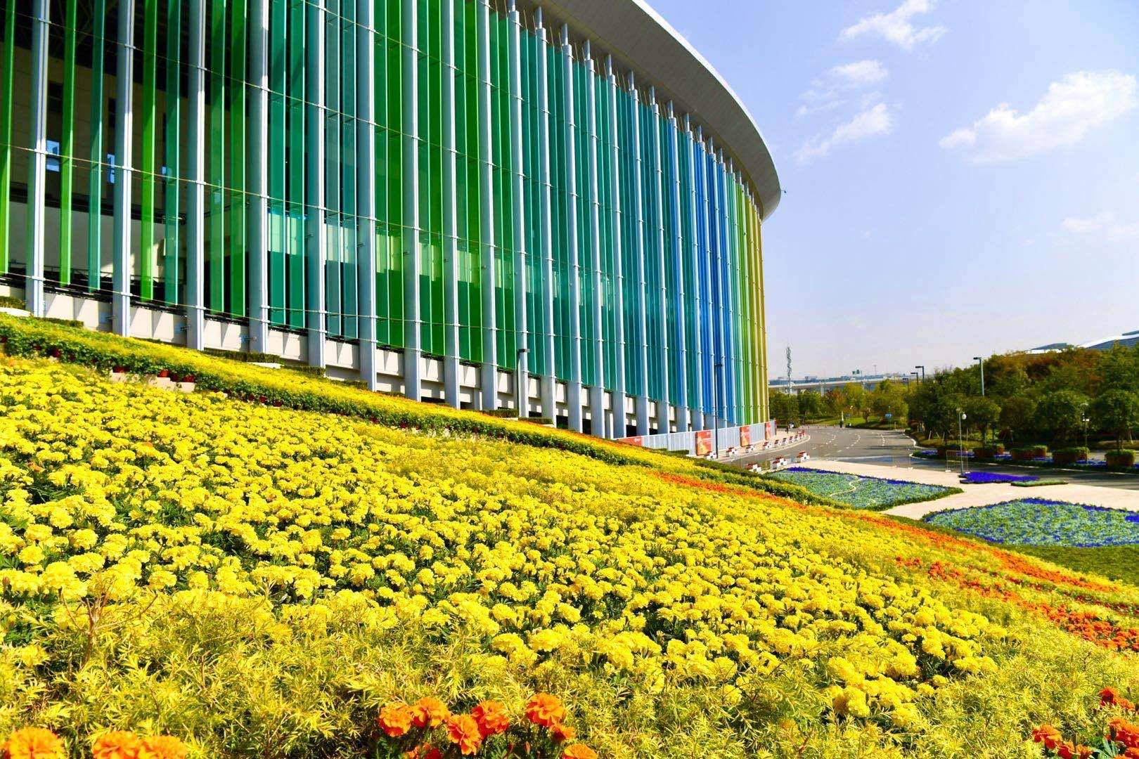 进博会来了四叶草美丽绽放花卉扮靓迎宾广场