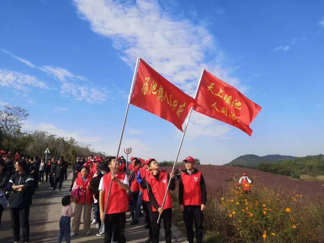 秋色景韵,徒步爱好者们齐聚汤池这个天然氧吧,汤池镇毅行活动激情开走