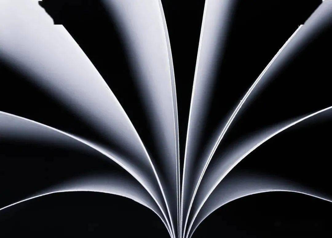 美学探究曲线美到底是一种什么样的美