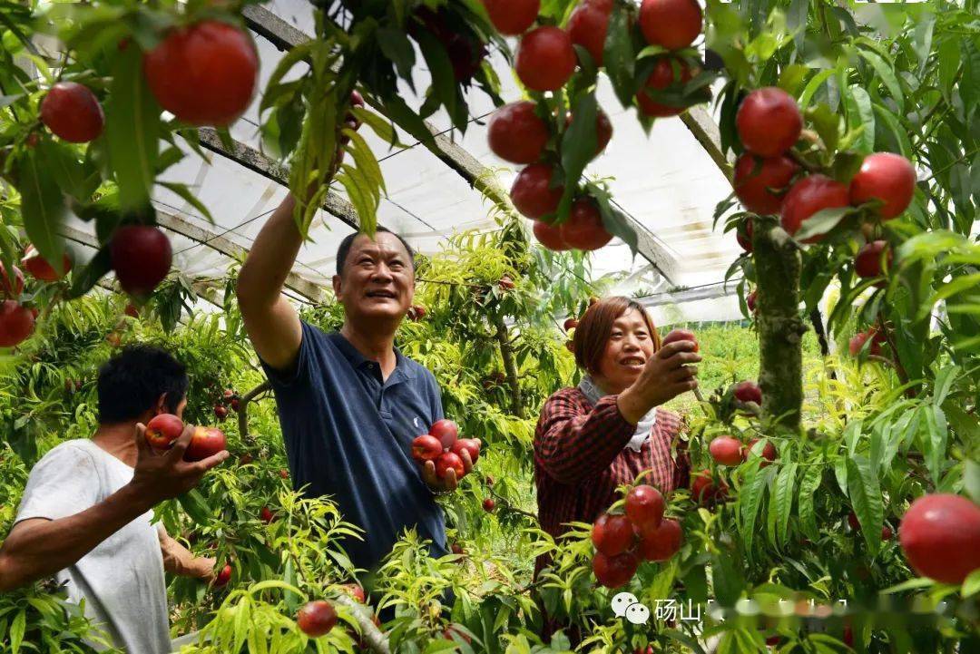 葛集镇:小额信贷贷出产业兴旺