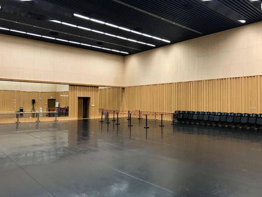 招募 | "小舞蹈家"的大舞台