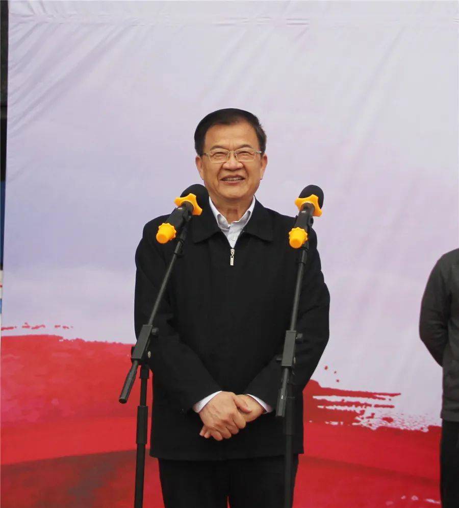 阜阳市委常委,临泉县委书记邓真晓出席开幕式的阜阳市和临泉县领导有