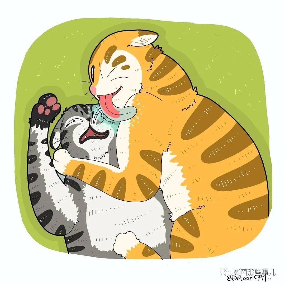 画师将各种沙雕猫猫图卡通化,这搞笑的可爱画风,也太魔性啦!