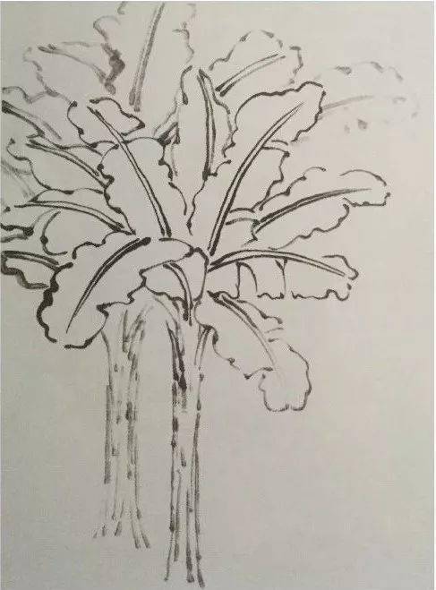 国画教程芭蕉叶画法