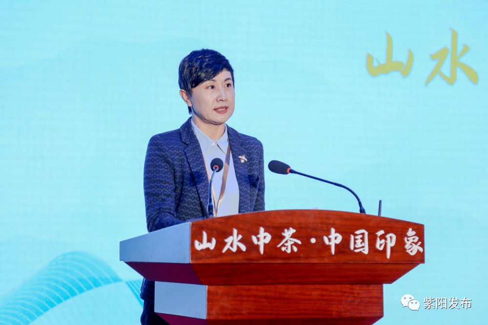 陕西省紫阳县县长陈莲接受专访并分享了紫阳茶产业扶贫经验