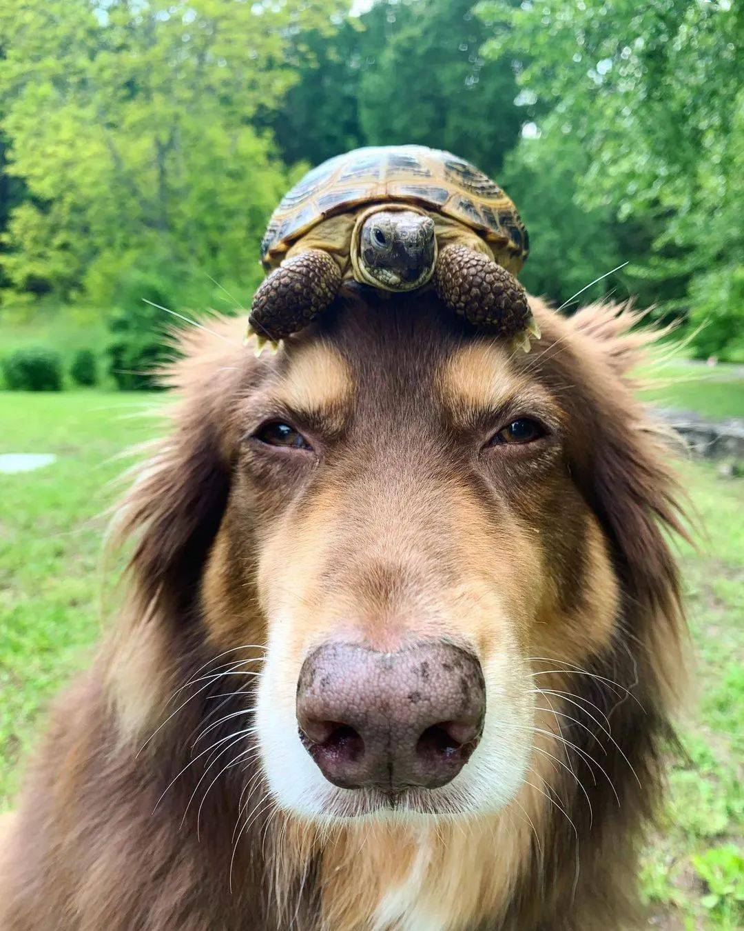 好莱坞性感女神归隐田园过退休生活这日常简直让人实名羡慕