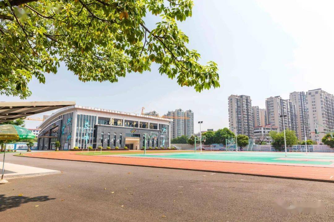 你们想念八中的美食了?_地址