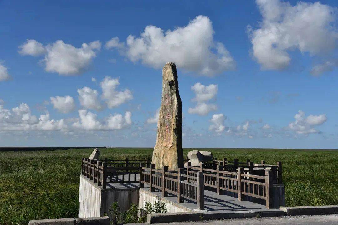 地址:上海市·林荫新路1158号公交:松江92路至月湖站;沪陈线至林荫新