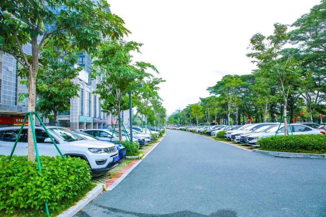 新增2000 车位!东莞市区要建10多个停车场!_南城