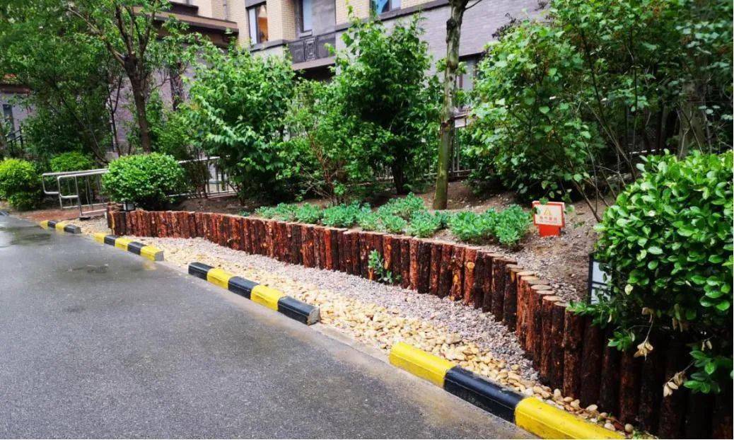 小区为何要进行"海绵城市"改造?这场活动让生态城居民心里有数