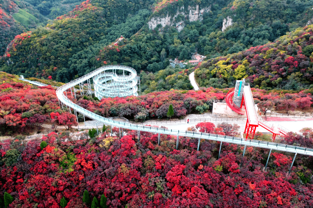 上新一日遊淄博紅葉柿巖網紅打卡一日遊98元人