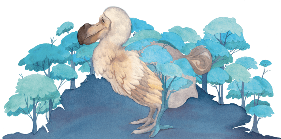 在渡渡鸟写给卡法利亚树的信笺中,基于卡法利亚树与渡渡鸟的兴衰同步