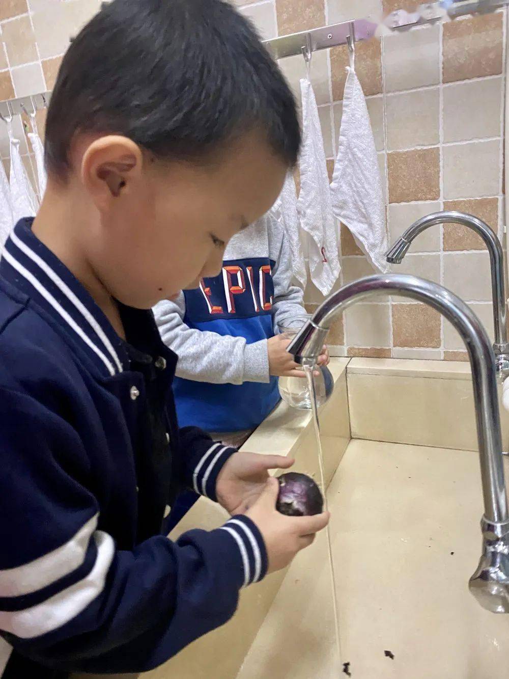 转角遇见微森林上上城幼儿园自然角里秋天的故事