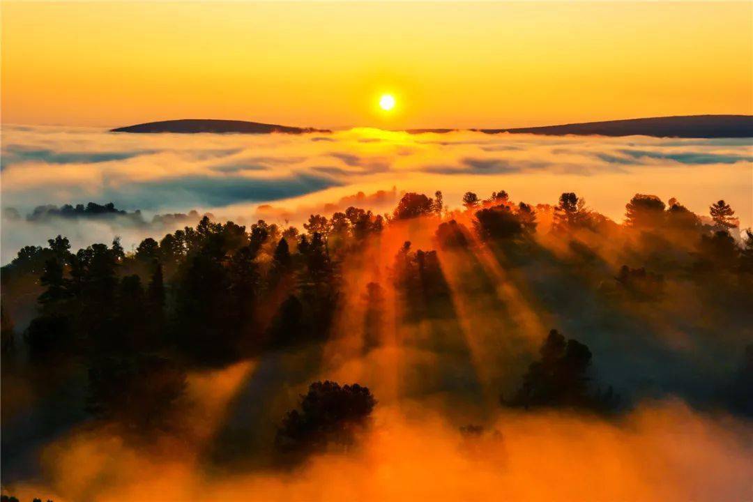 风光专题——嵇殿林作品欣赏_林海