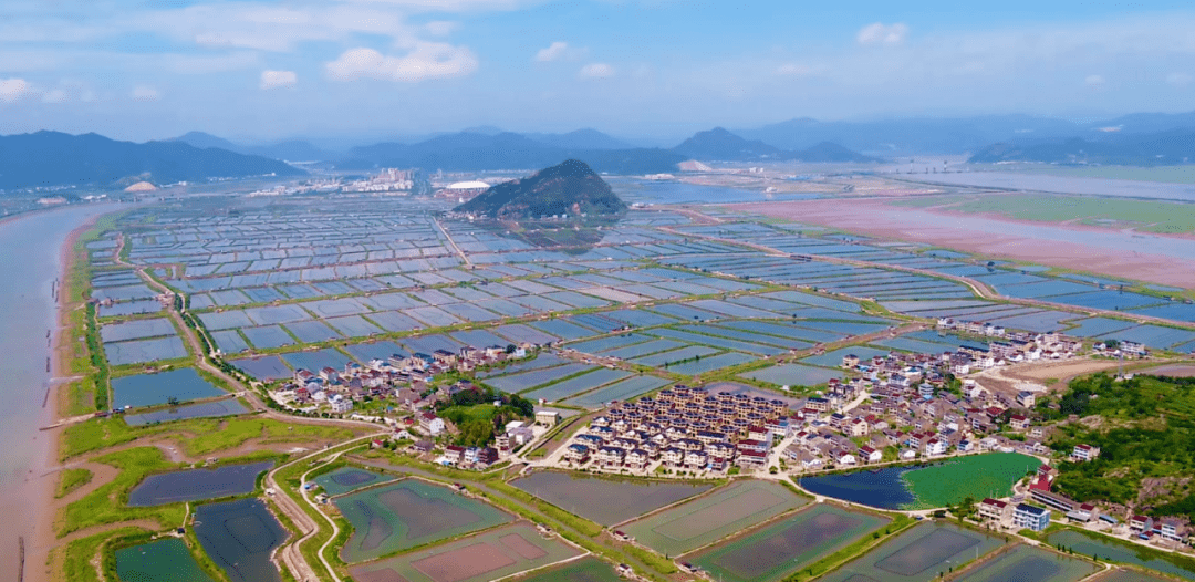 岛上畲乡的逆袭之路三门涛头村民一改耕作方式与海共生