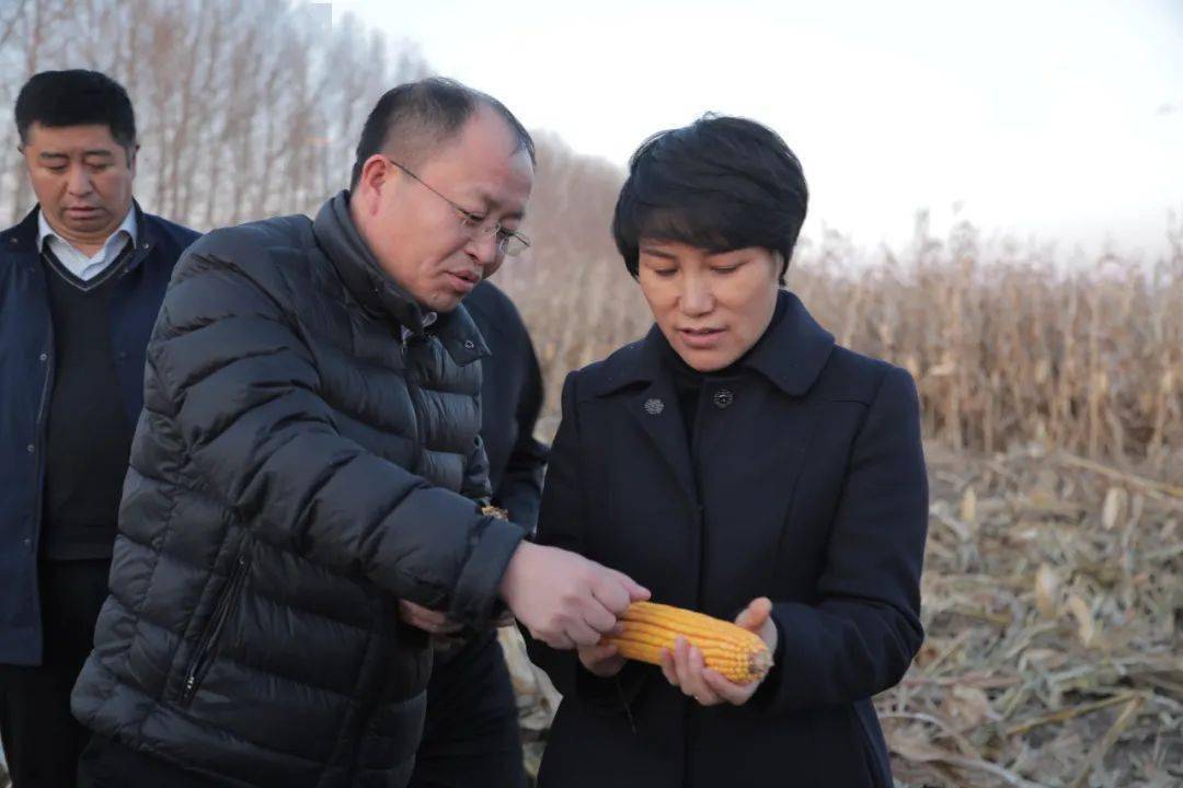 安达发布要闻刘淑芬毫不放松抓好秋收工作坚决打赢脱贫攻坚战