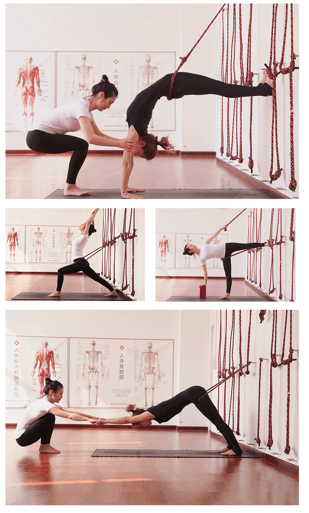 艾扬格墙绳瑜伽体式图片
