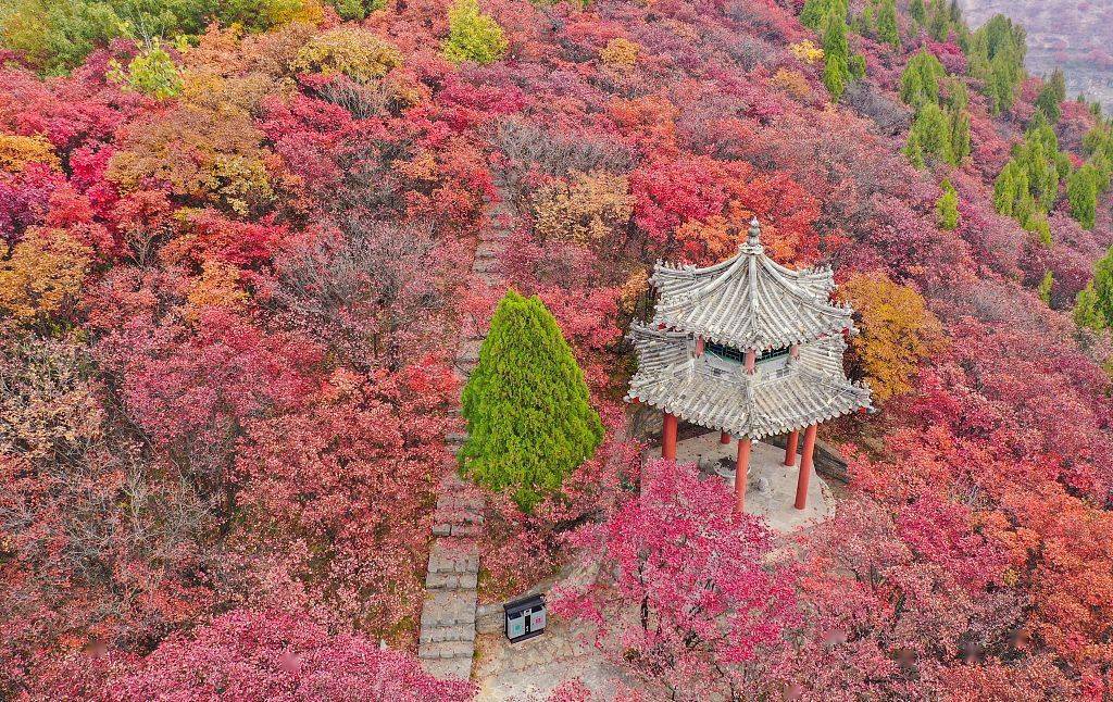 山东济南章丘莲花山圣水禅寺赏一叶而知秋