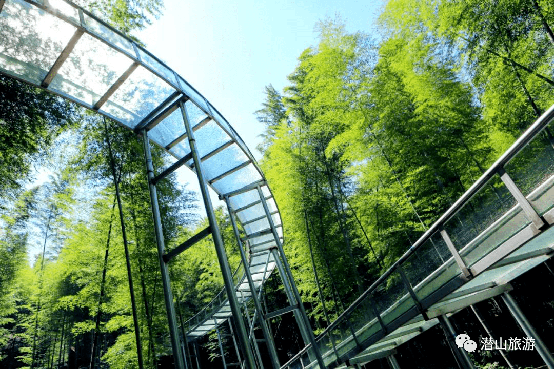 尖叫畅游天柱山在内的八大景区竟然只要这个价火速围观