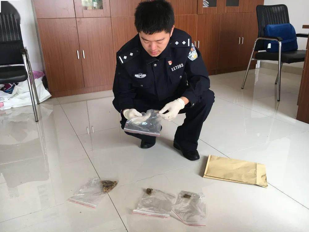 来路不明的狗肉别吃镇江两男子用剧毒药狗还将村民打伤