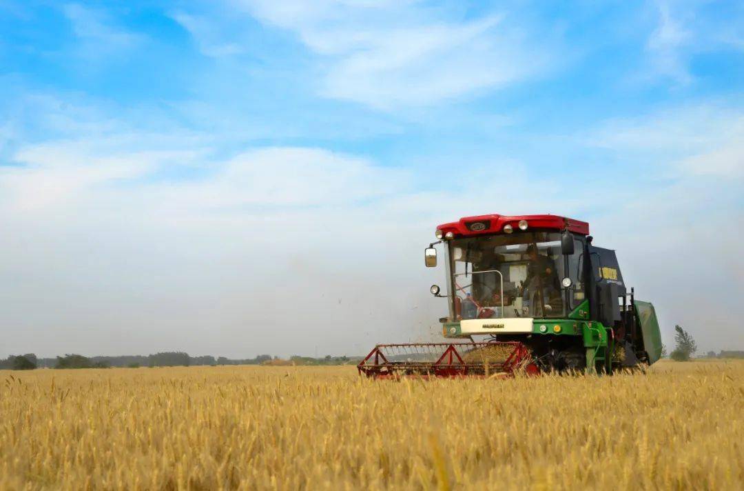 产业结构全面优化,特色农业迅猛发展——泗县晒出"农业强,农村美