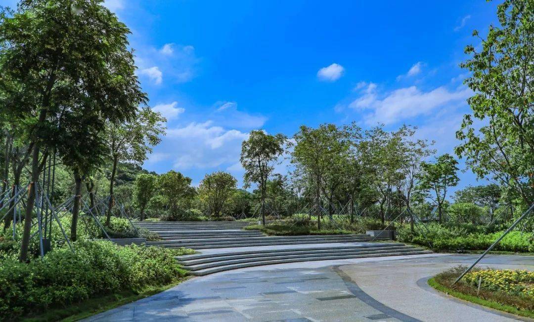 首次曝光720全景身临其境带你漫游宝安人才林公园