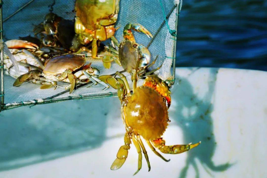 美深秋三门风景图摄影师都给你拍来啦