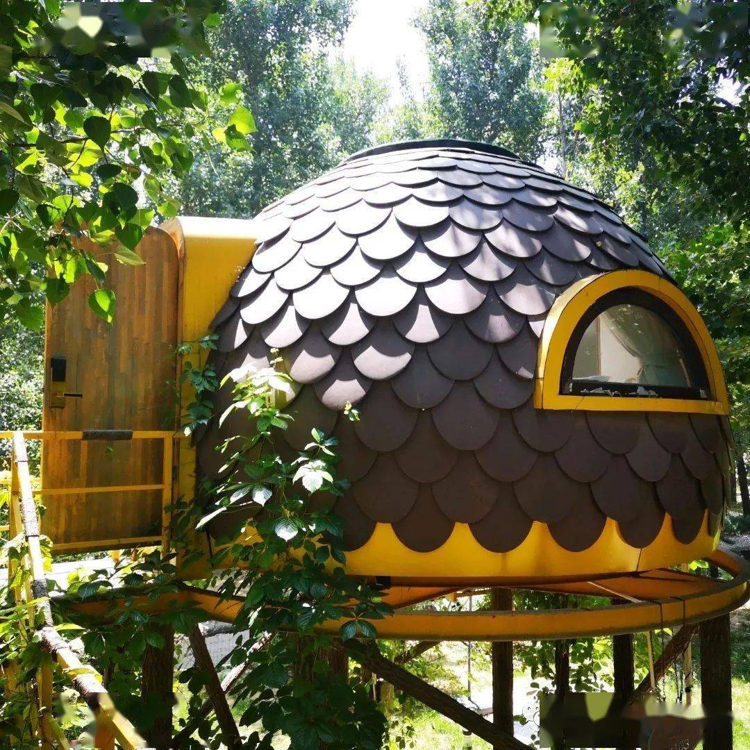 让孩子喜欢的户外小屋是这样的