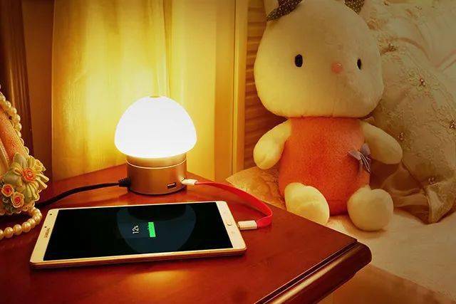 手机充电器千万记得拔否则麻烦大了