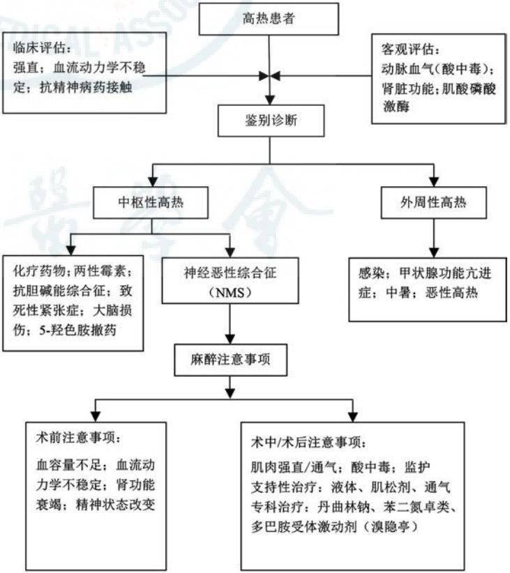 医者仁心恶性高热图片