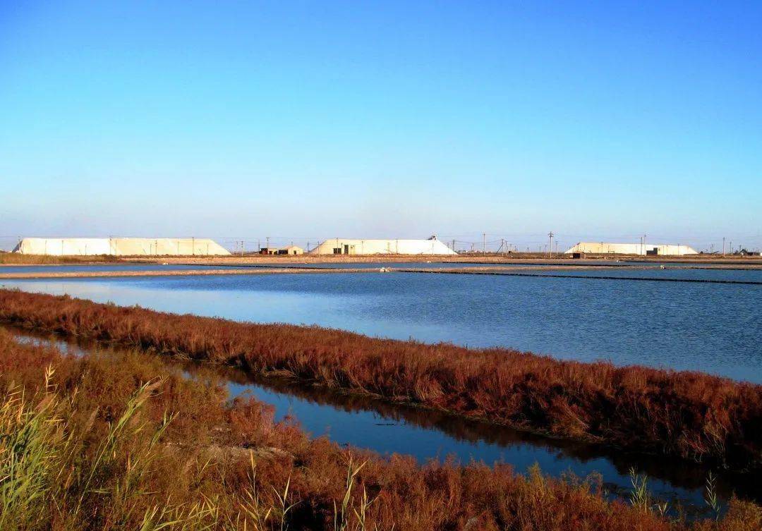 汉沽盐场:天津长芦汉沽盐场有限责任公司是我国001号食用海盐定点生产