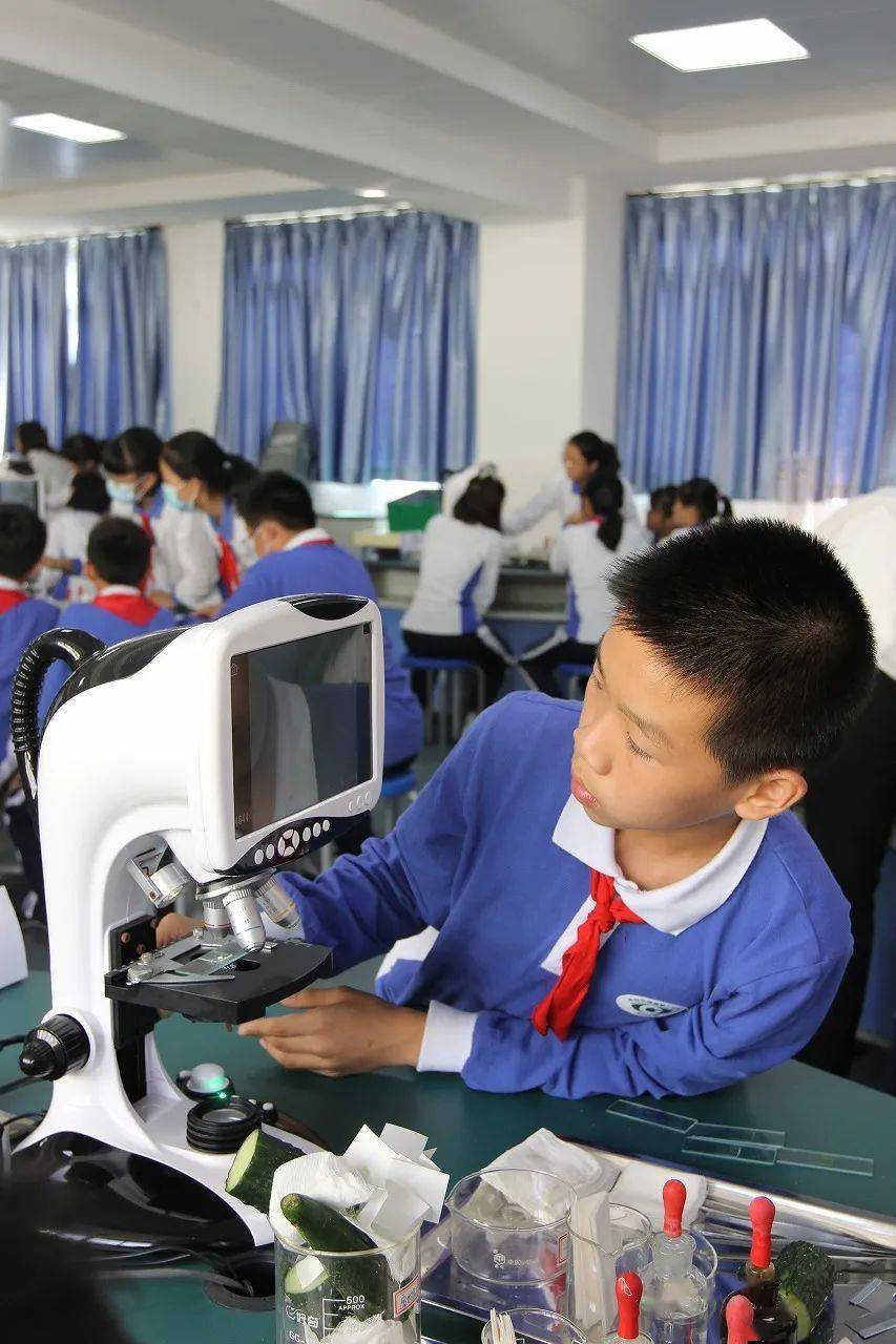 优化实验提升素养深圳市首次生物实验教学教研活动在我校举行