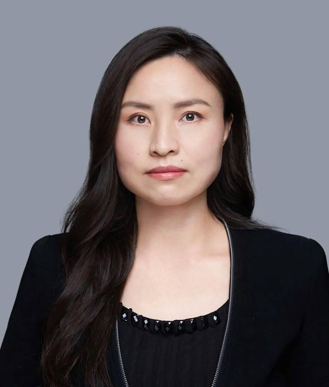 partner at merits & tree law offices