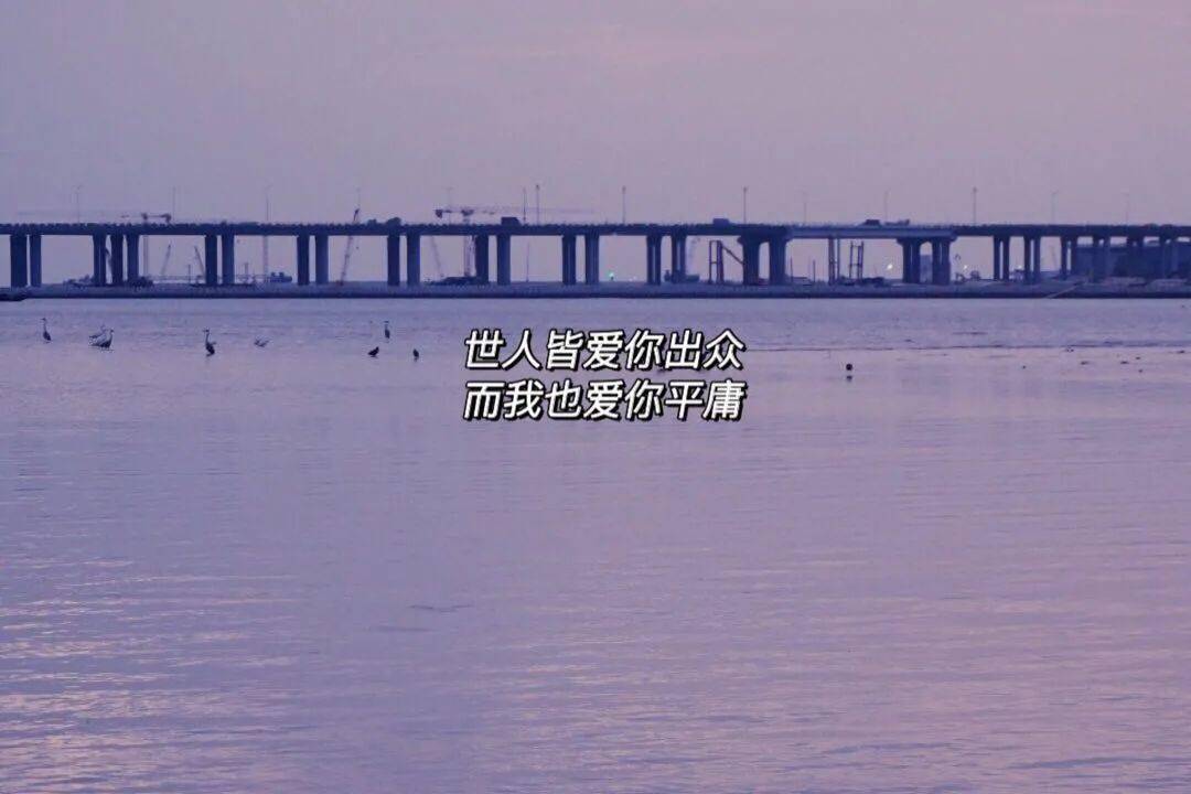 文案关于情感的发圈句子