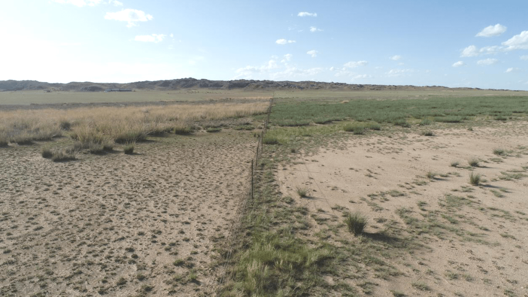 科技干货给退化的草原疗伤一群人一辈子的研究