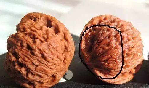 有些玩家朋友见此情况就慌了,心想:完了,这对核桃我不能玩了,送给老人